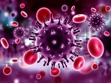 Puzzle coronavirus