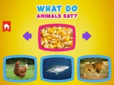 Ce mănâncă animalele